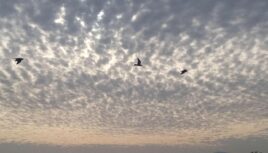 Atardecer © Patricio Jorquera