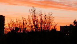 Atardecer © Patricio Jorquera